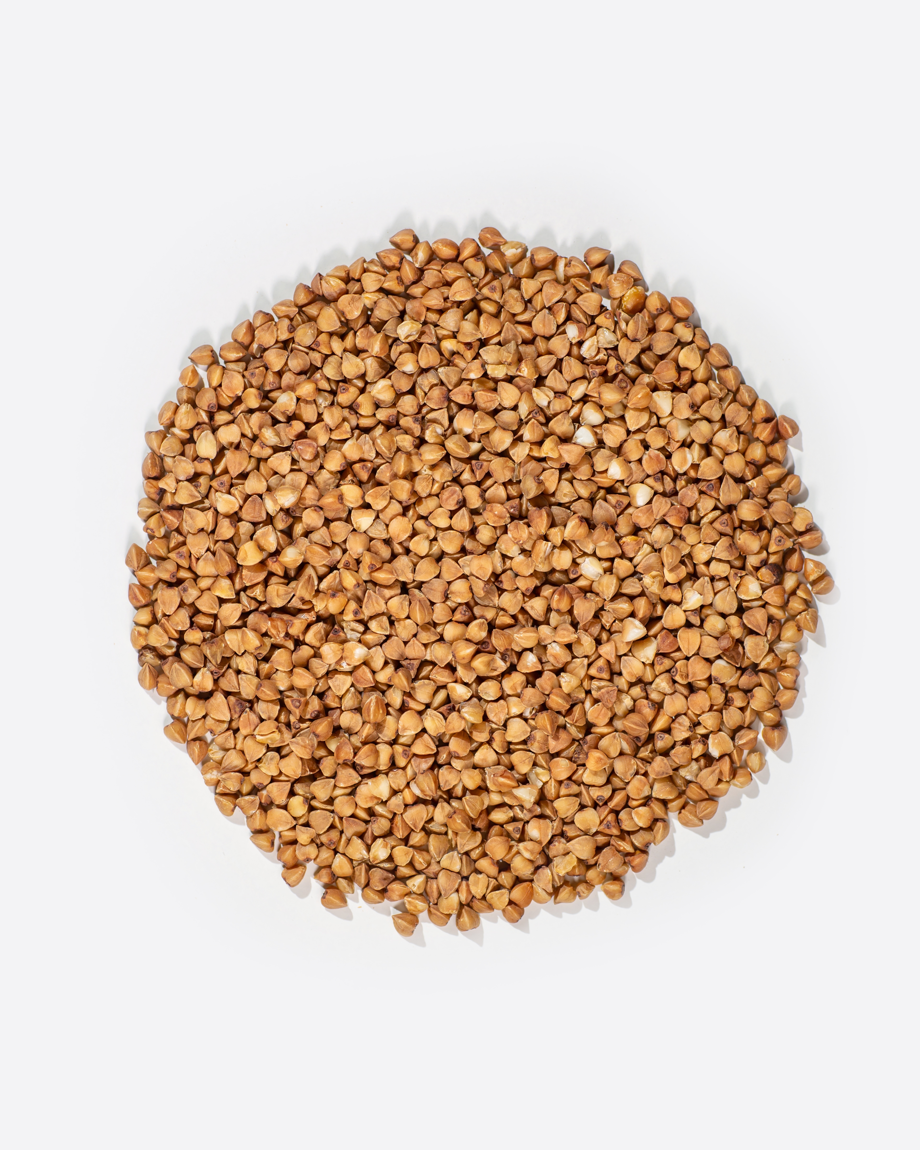 Buckwheat