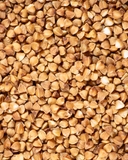 Buckwheat