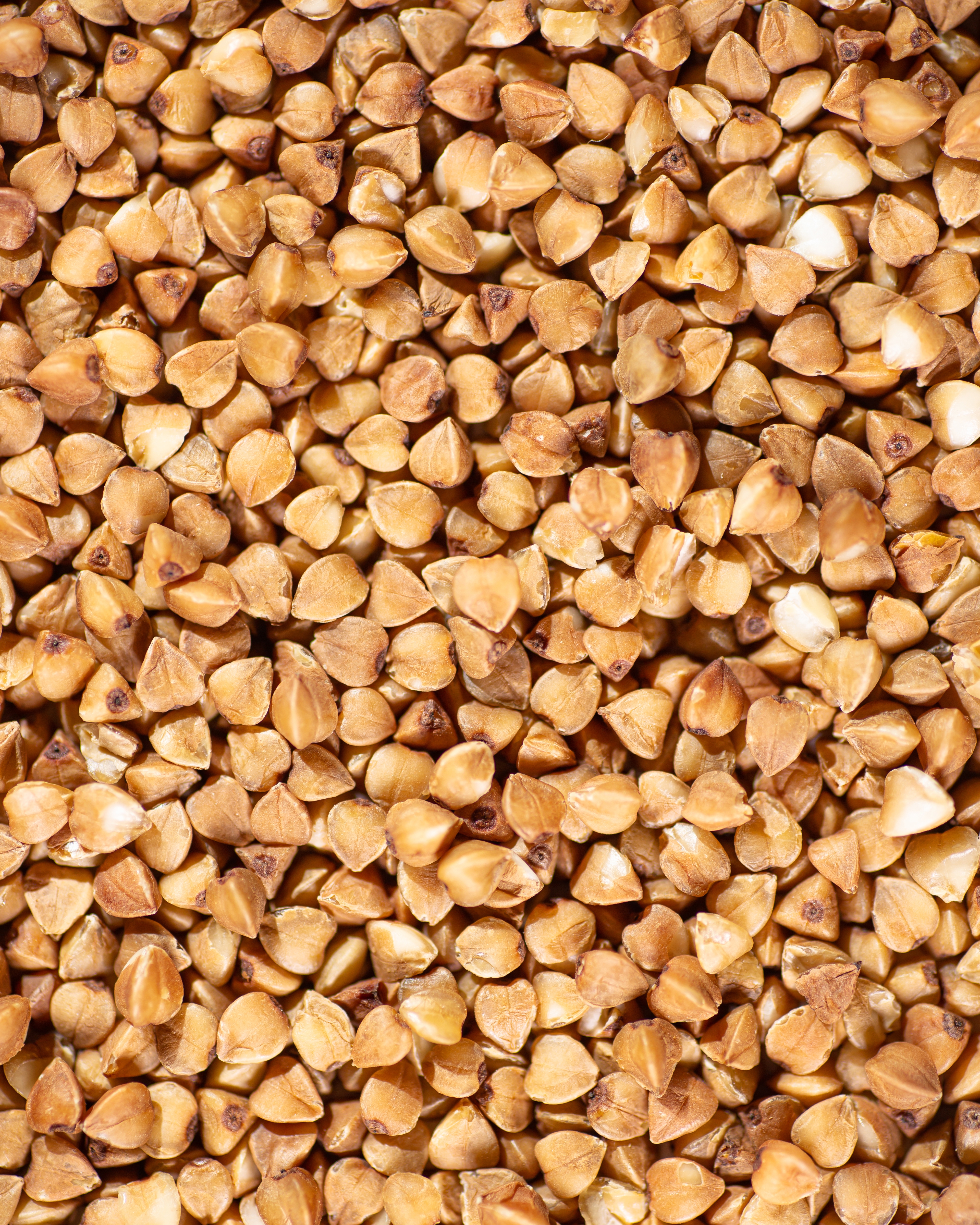 Buckwheat